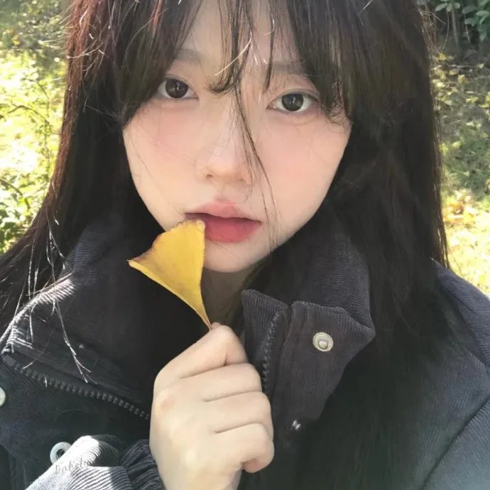 奔月